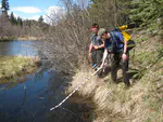 Scientific collaboration connects humans, salmon on the Kenai